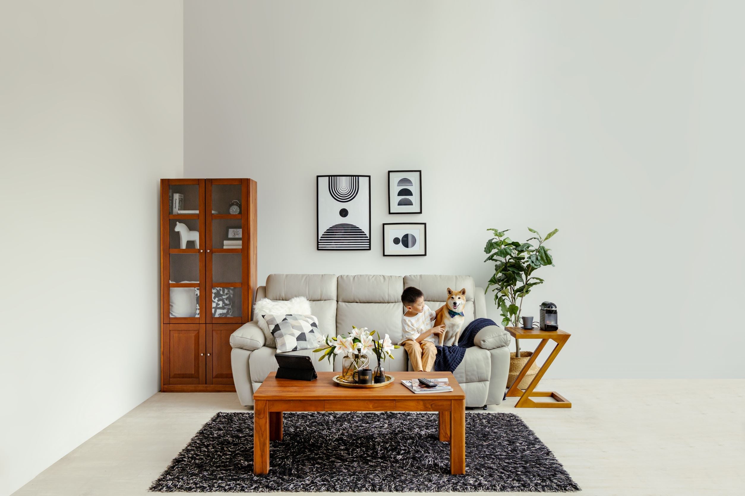 HYLLA BOOKSHELF (WITH GLASS DOOR)