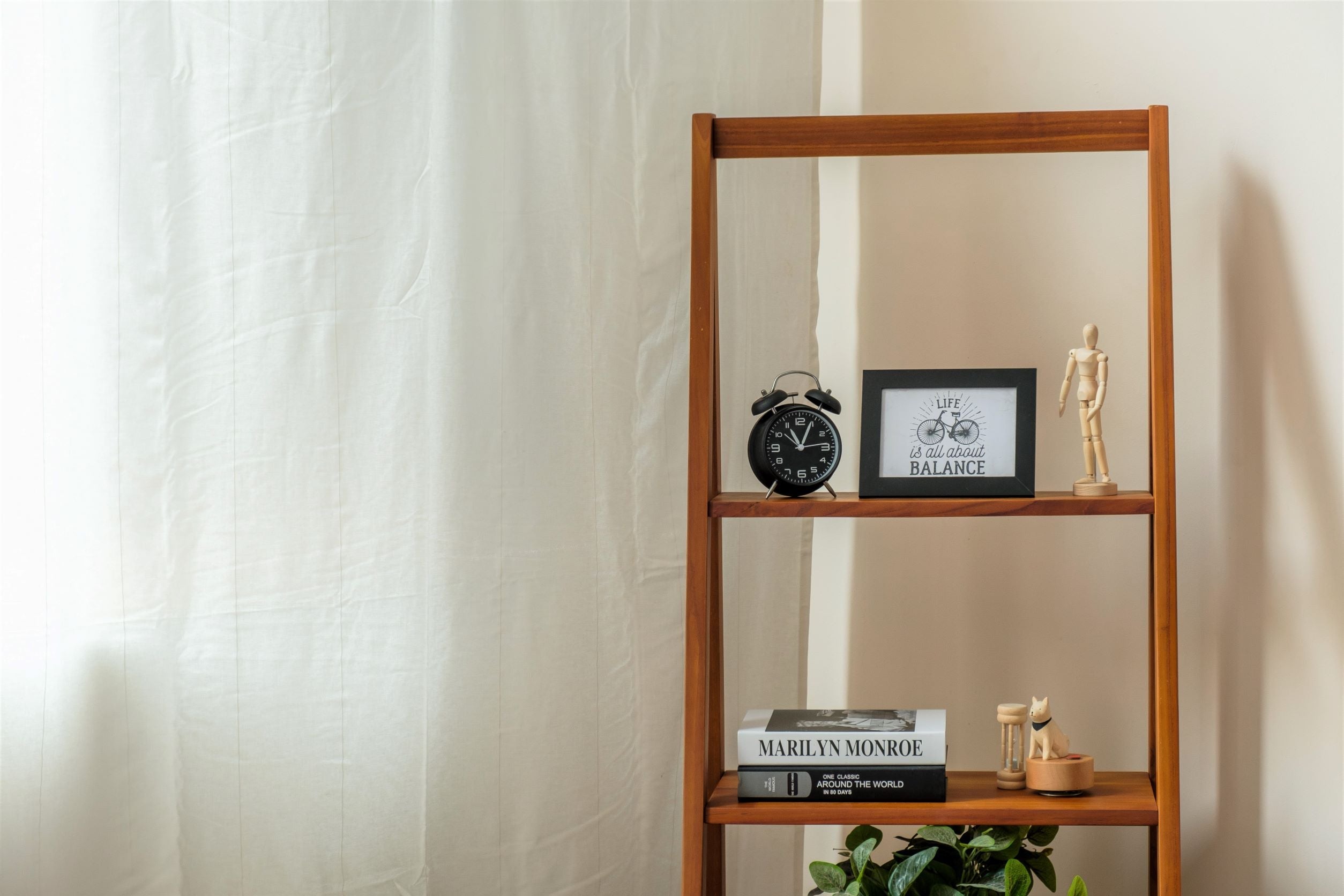 SKOTT DISPLAY BOOKSHELF